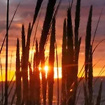 Apartament Penthousebeach Koksijde