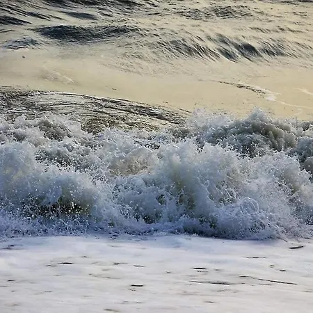 Penthousebeach Apartment Koksijde