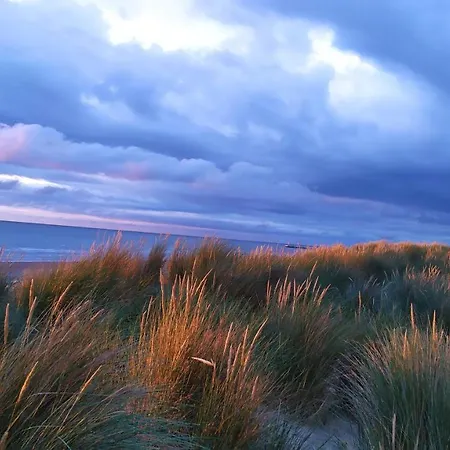 Apartment Penthousebeach