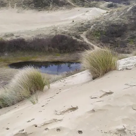 Apartment Penthousebeach