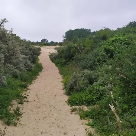 Apartment Penthousebeach *