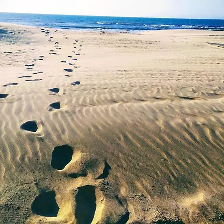 Penthousebeach Koksijde