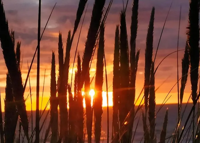 アパート Penthousebeach コクセッド